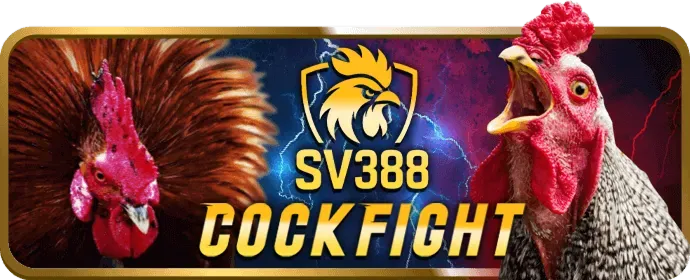 Ưu đãi chào mừng vty05 link mới
